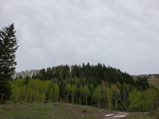 Beautiful Mountainside