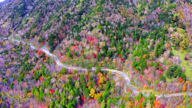 Aerial view of the road and forth in the mountains in the autumn  nikko of Japan