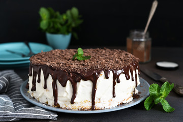 Vanilla cake with chocolate icing, chocolate chips and mint on a dark background.