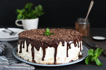 Vanilla cake with chocolate icing, chocolate chips and mint on a dark background.