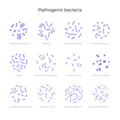 Vector illustration of pathogenic bacteria 