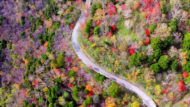 Aerial view of the road and forth in the mountains in the autumn  nikko of Japan