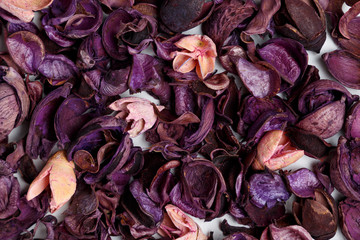 Background from of purple and pink dry flowers, leaves and petals on white background. Colorful background image. Top view. Flat lay. Copy space. Art concept. Color trends 2020. Abstract textures