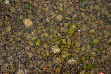 The stones lie at the bottom of the lake. At the bottom of the river, the stones were covered with green moss.