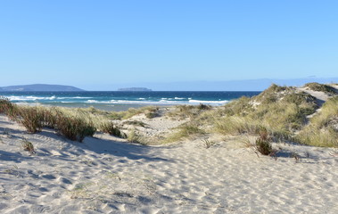 Fototapeta na wymiar Beach with waves breaking, grass in sand dunes and blue sky. Arteixo, Coruña, Galicia, Spain.