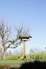 großes Vogelhaus im Garten 