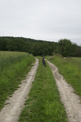 Mountainbike Fahrrad auf Feld Waldweg