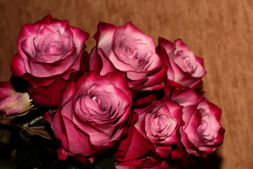 Pink rose buds for the background. Magic bouquet.