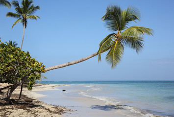 Traumstrand in der Karibik