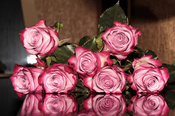 Roses reflected on the surface. Mirroring colors.