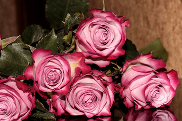5 pink roses lying on a black table. Magic flowers.