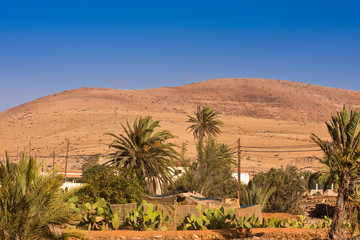 Small Finca in a Mountain landscape with a palm grove near Tuineje, Fuerteventura, Canary Islands, Spain, Europe