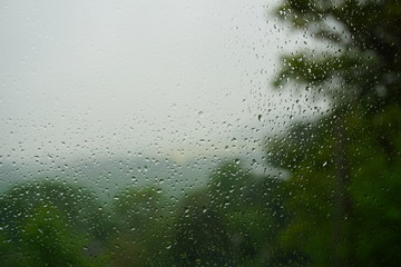 Regentropfen Wassertropfen auf Fensterscheibe Blick auf grüne Landschaft