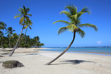 Traumstrand in der Karibik