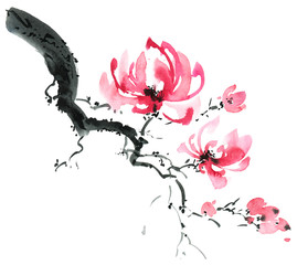 Blossom tree branch