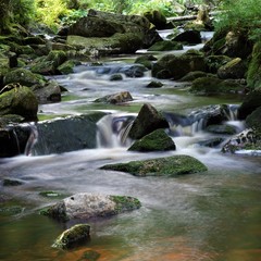 Fototapeta na wymiar Bodewasserfälle Bachlauf mit kleinen Wasserfällen im Nationalpark Harz