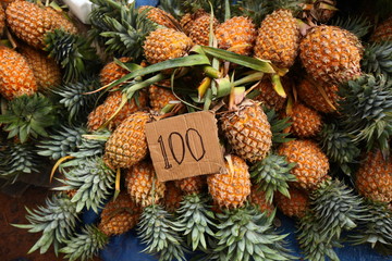 Fototapeta premium bunch of fresh ripe pineapples on the market in Sri Lanka