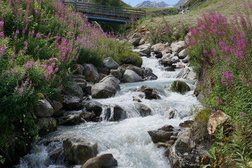 Bachlauf mit kleinen Wasserf&auml;llen im Nationalpark Harz
