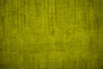 Gently green surface. Soft green background for design.