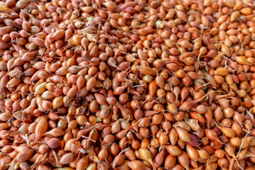 Little onions lies on a turkish market