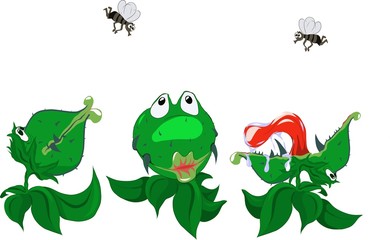 Obraz premium Sketch three tropical flycatcher plants preying on midges