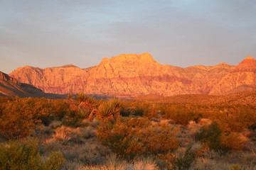 Obraz premium rock formation in the warm light of sunrise in the red rock Canyon