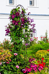 Decorative iron arch with purple clematis flowers in a garden
