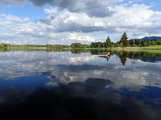 Fototapeta premium Landschaftsaufnahme von einem See mit einer Entenfeder mit bewölktem Himmer kurz über der Wasseroberfläche