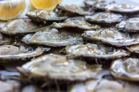 Croatia, Peljesac, Mali Ston, Fresh oysters