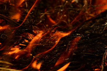 coastal zone of marsh creek, strong smoke from fire of liana overgrowth. Spring fires of dry reeds...
