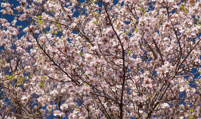 Gran Canaria, January