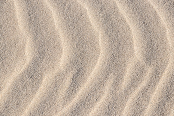Fototapeta na wymiar Sand, wave, reflect, shadow, light, beige. Patterns in a sand of dune like ruffle in water. Close-up.