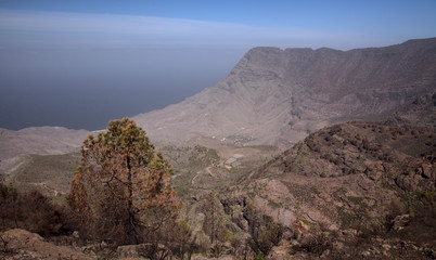 Gran Canaria, part of Nature Park Tamadaba affected by forest fire, view towards Faneque, one of the tallest over-the-sea cliffs in the world