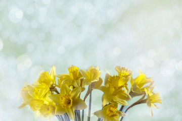 Fresh easter flowers and free space for your decoration. 