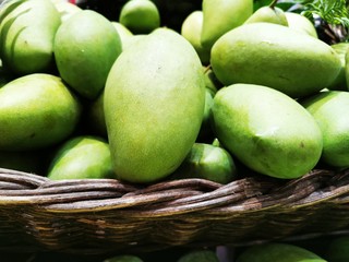 green mango on market