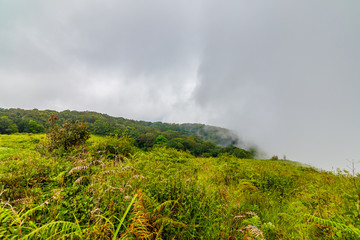 Wooden tourist path at Doi Inthanon national park, Thailand. Beautiful place in tropical rainforest with fresh green plants after rain with big humidity and fog in far. Chiang Mai province