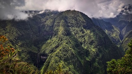 vue sur la jungle avec cascade 