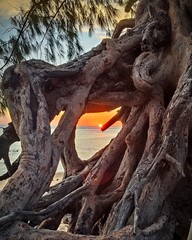 sunset plage de l'hermitage 