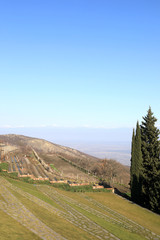 Skyline of Alazani Valley