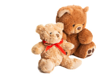 toy teddy bear isolated