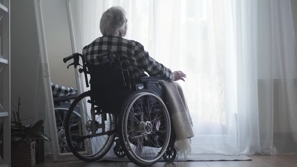 Back view of old Caucasian man sitting in wheelchair in front of big window closed with curtain and thinking. Lonely elderly man spending day alone at home. Oldness, retirement, disabled people. - Powered by Adobe
