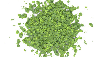 Green clover covering the screen. 3D rendering.
