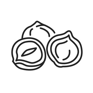 Nazel nut black line icon. Nuts in the shell. Pictogram for web page, mobile app, promo. UI UX GUI design element. Editable stroke.