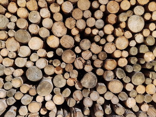 stack of firewood