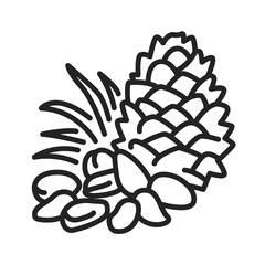 Pine nuts black line icon. Edible seeds of pine trees. One of the more expensive nuts on the market. Pictogram for web page, mobile app, promo. UI UX GUI design element. Editable stroke.