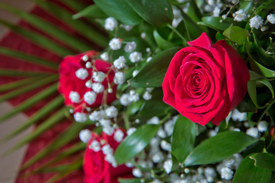bouquet of red roses . Red flower picture close up in the bouquet. The flower's petal . Bouquet of fresh red roses .