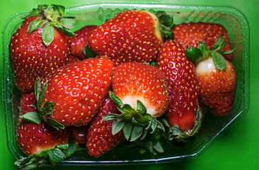 Ripe strawberries in plastic casserole
