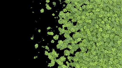 Green clover covering the screen. 3D rendering.