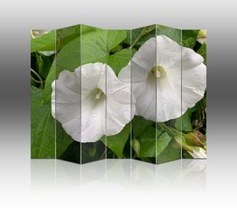 White flower screen