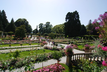 Insel Mainau - Die Blumeninsel im Bodensee © hajo100